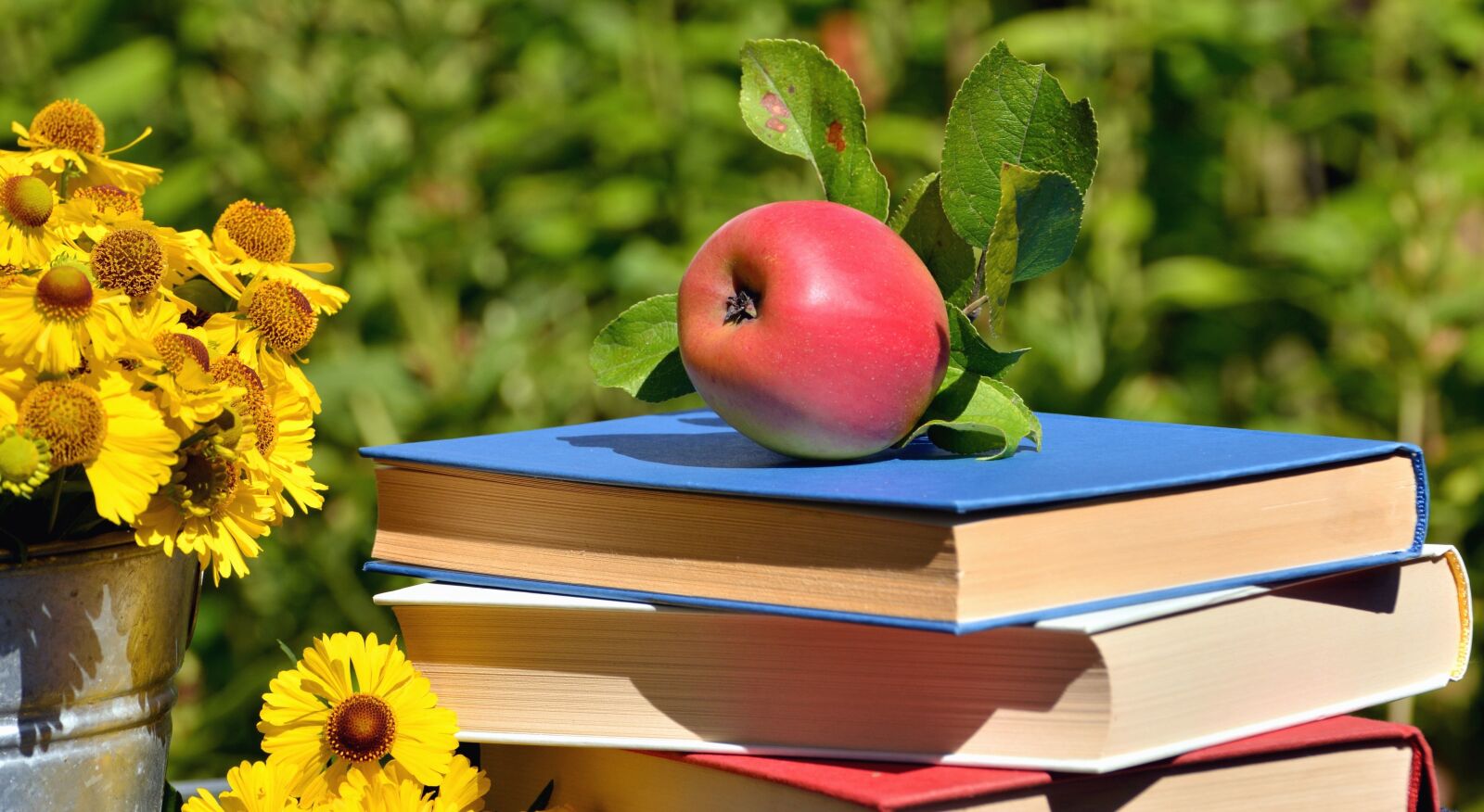 Nikon D5200 sample photo. Book, apple, flower, nature photography