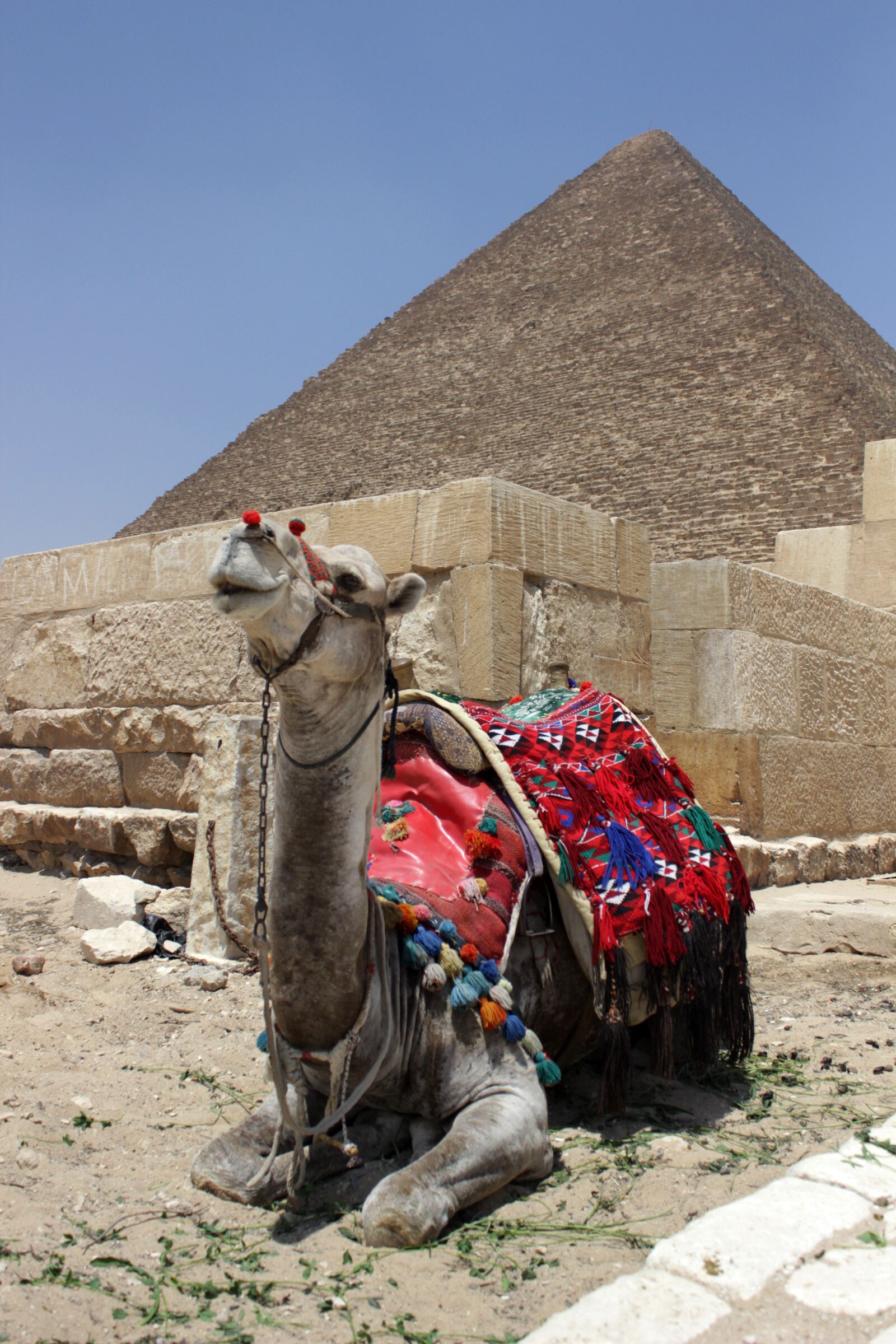 Canon EOS 600D (Rebel EOS T3i / EOS Kiss X5) sample photo. Egypt, cairo, eastern pyramid photography