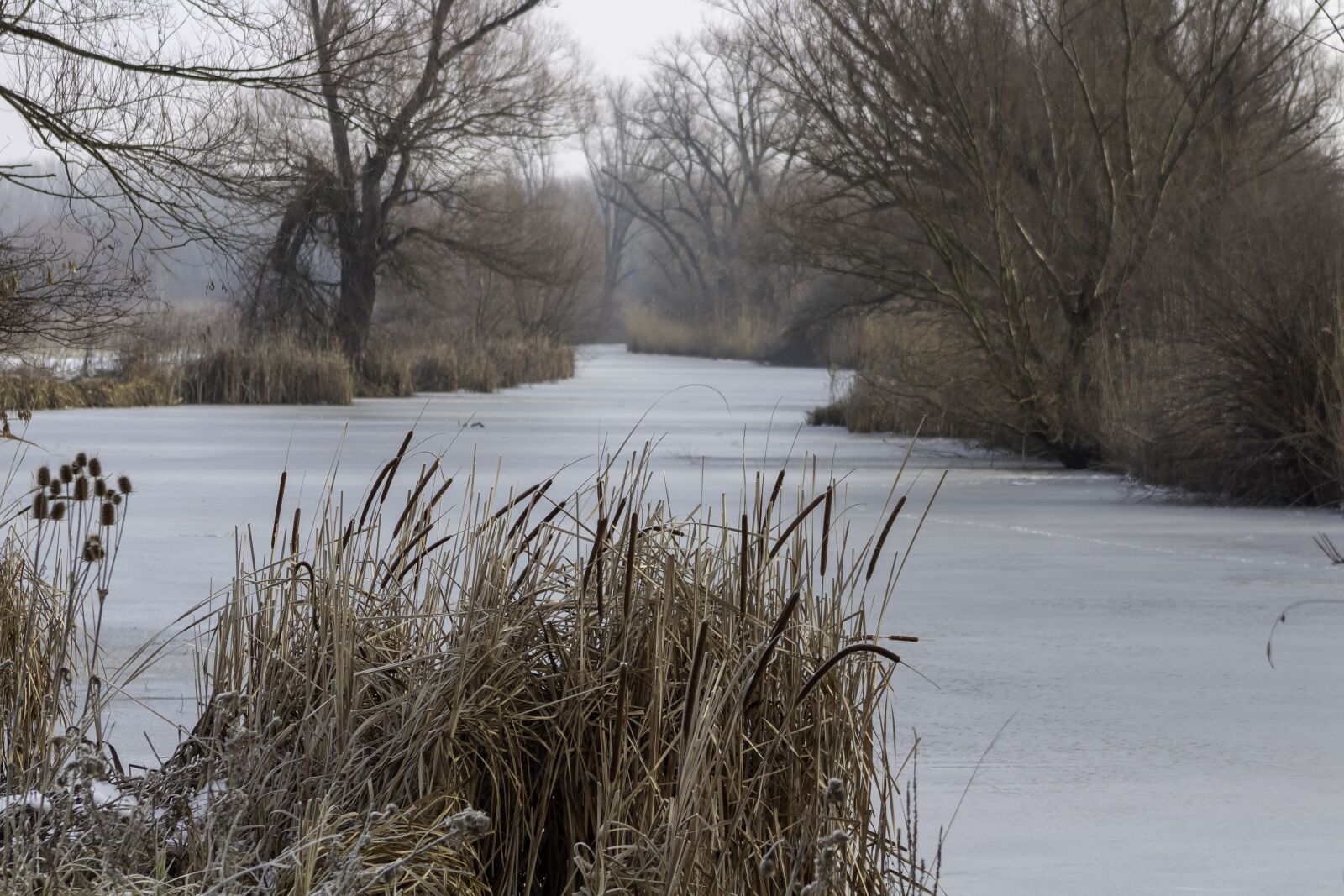 Canon EF75-300mm f/4-5.6 sample photo. Landscape, river, water photography