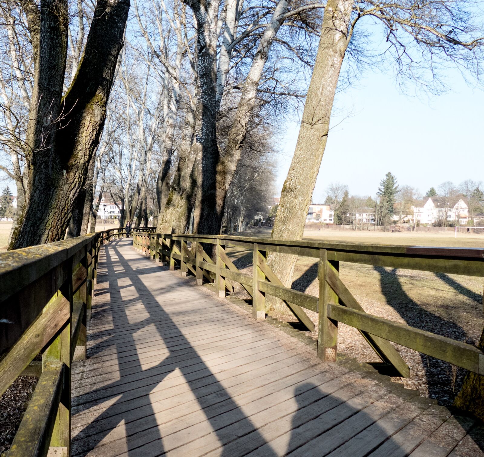 Panasonic Lumix DMC-FZ1000 sample photo. Web, bridge, wooden bridge photography