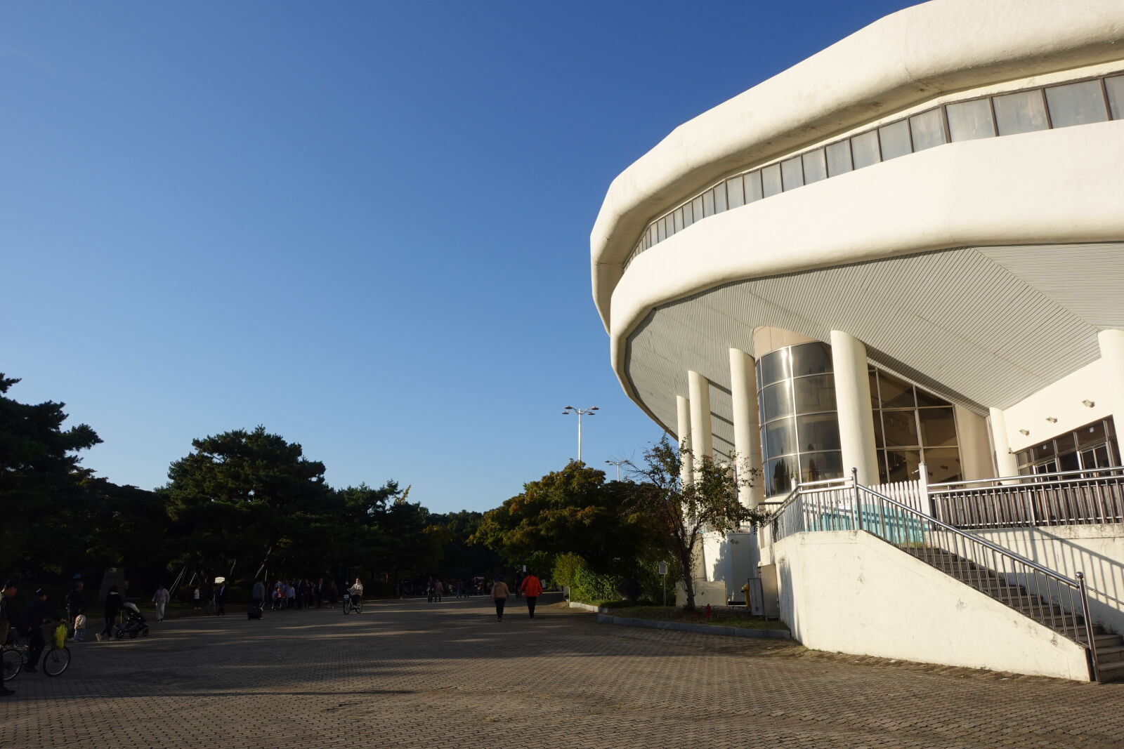 Sony ZV-1 sample photo