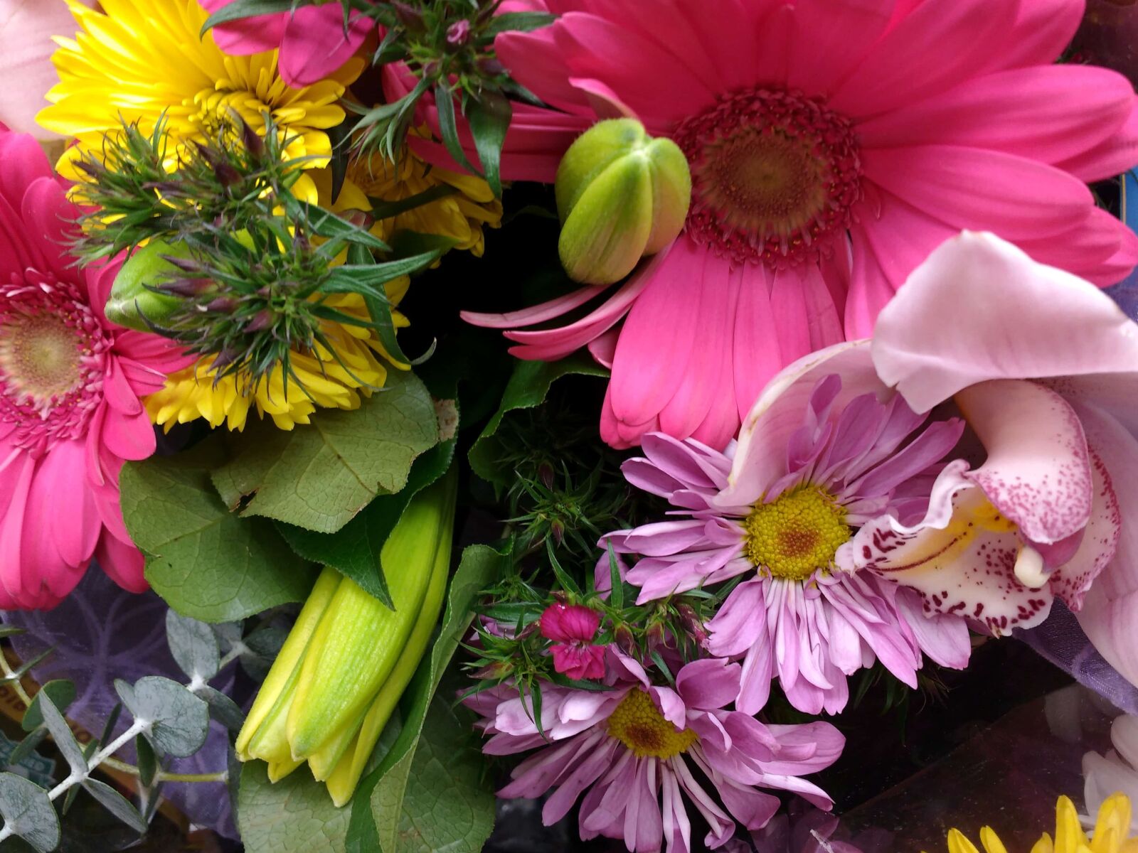 Motorola MotoG3 sample photo. Bouquet, arrangement, flora, flowers photography