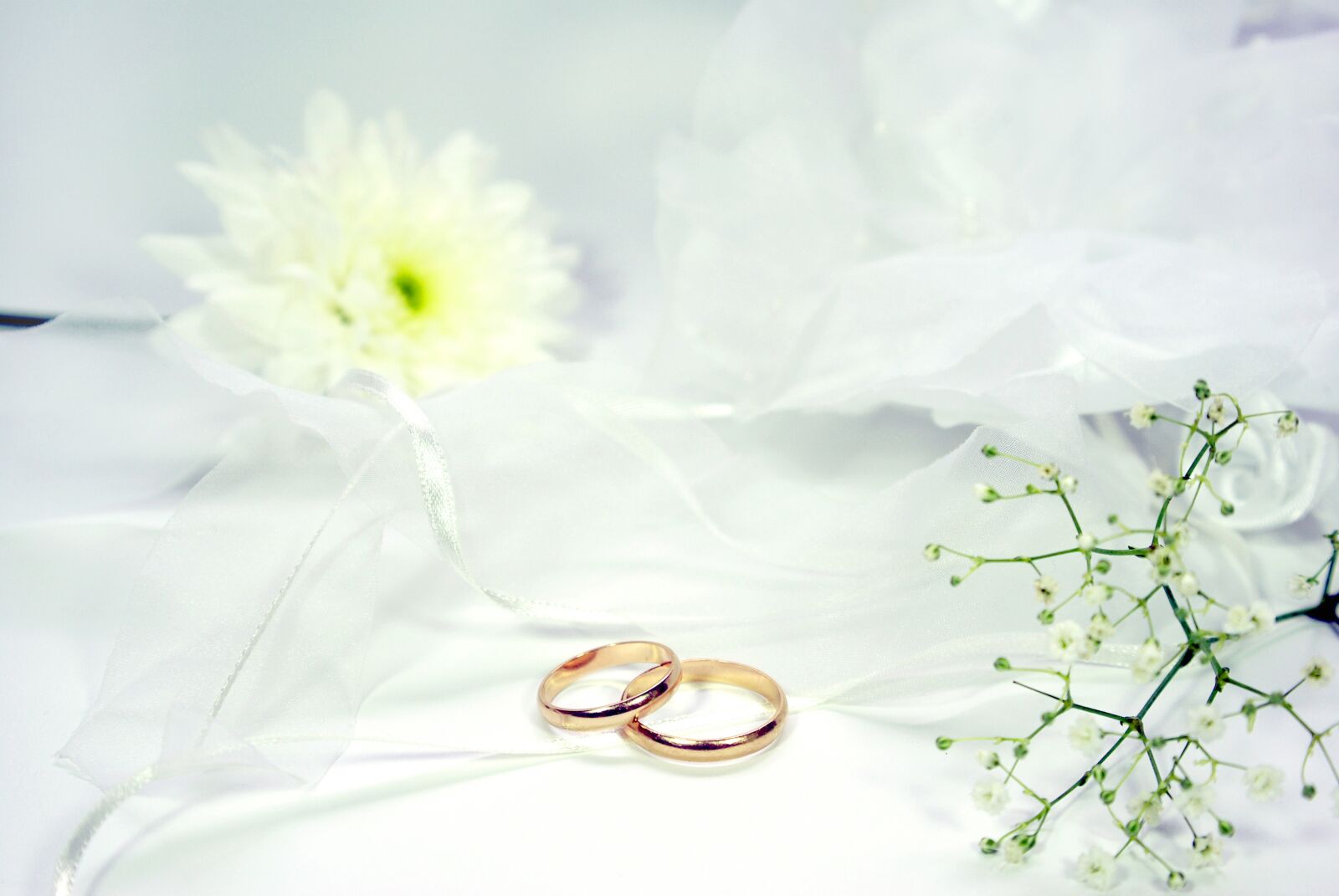 Pentax K10D sample photo. Wedding, rings, marry photography
