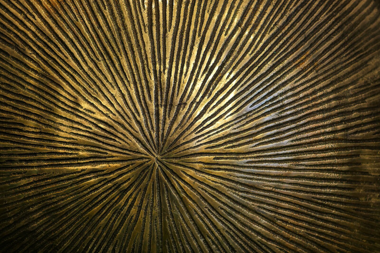 Panasonic Lumix DMC-GX8 sample photo. Metal, iron, pattern photography