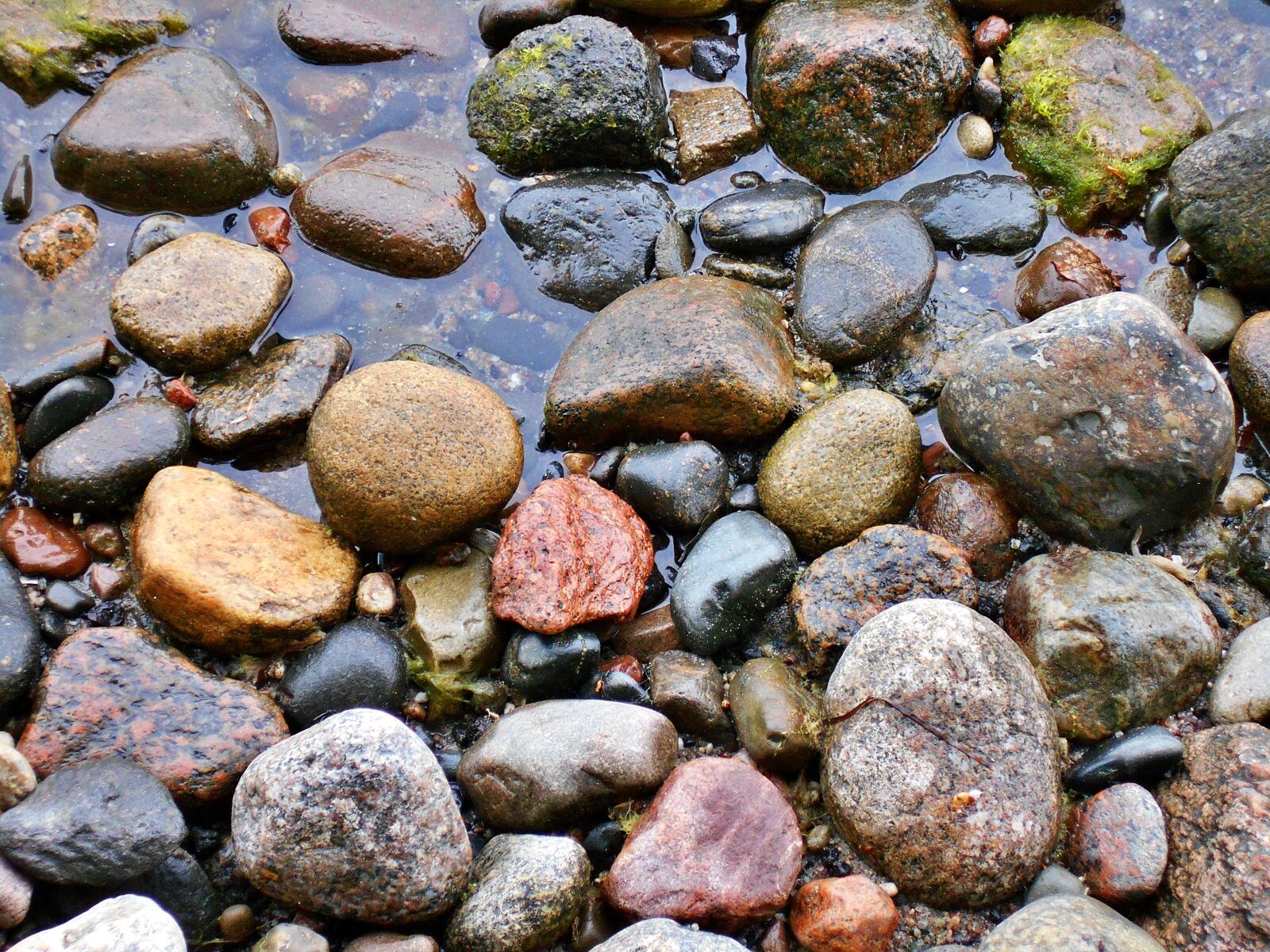 Nikon Coolpix S2900 sample photo. The stones, pebbles, the photography