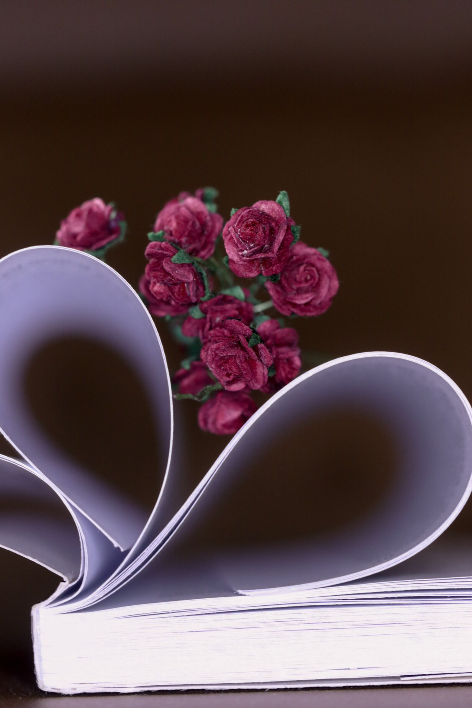 Canon EOS 7D Mark II sample photo. Roses, miniature, book photography