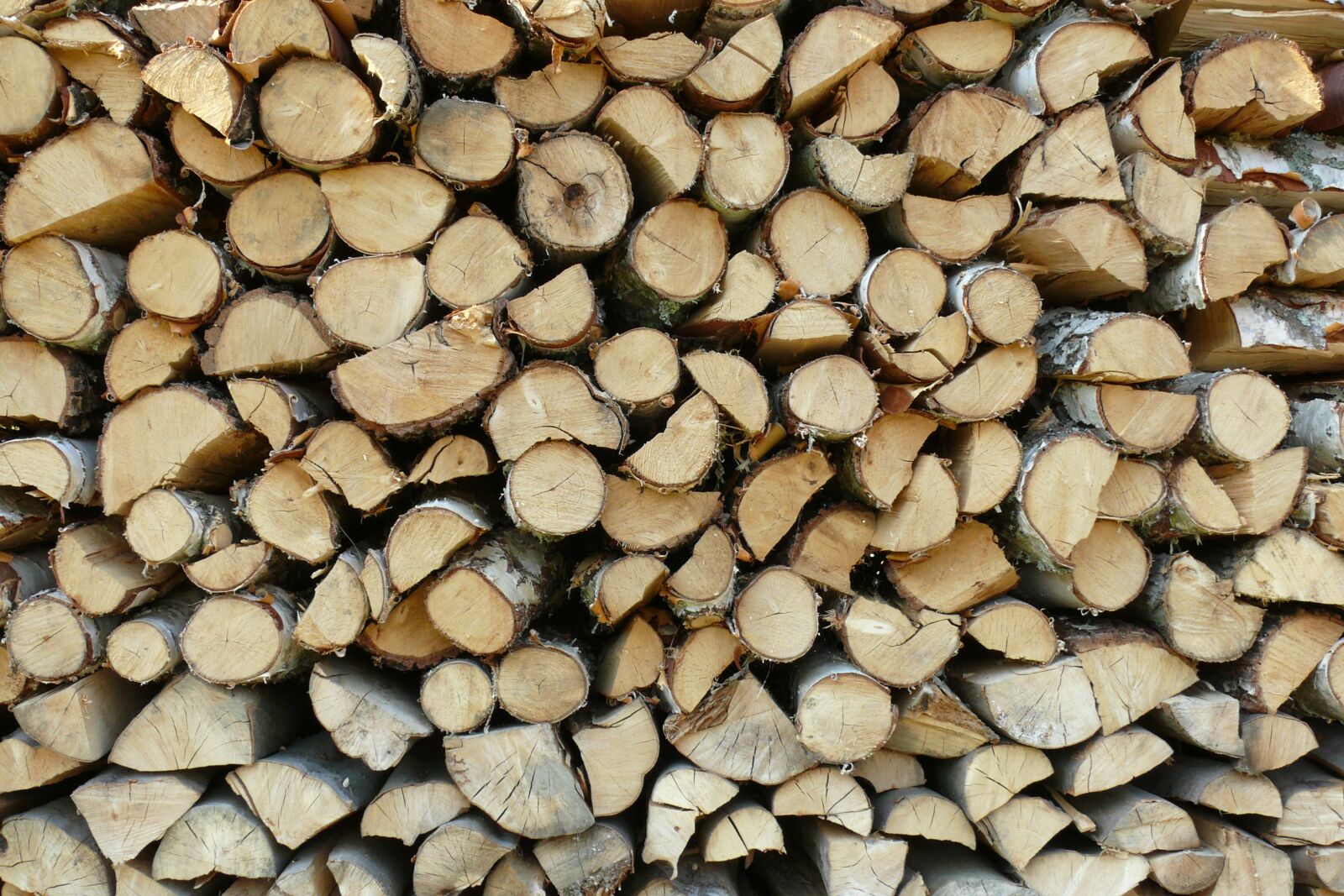 Panasonic DMC-FZ50 sample photo. Wood, firewood, pile photography