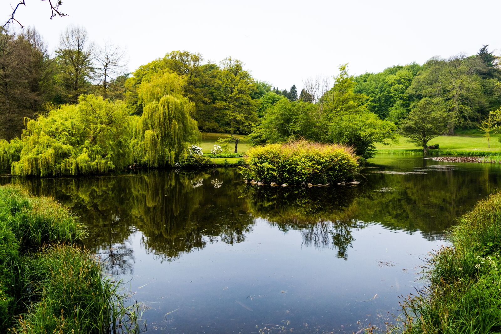 Nikon D5500 sample photo. Lake, still, water photography