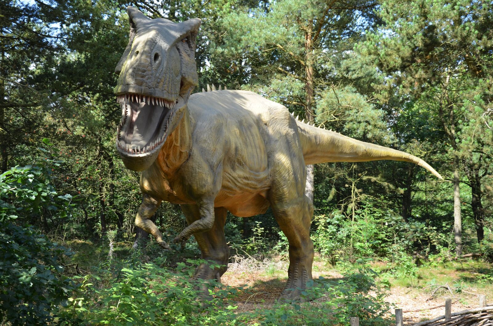 Nikon D5100 sample photo. Dinosaur, prehistoric times, lizards photography