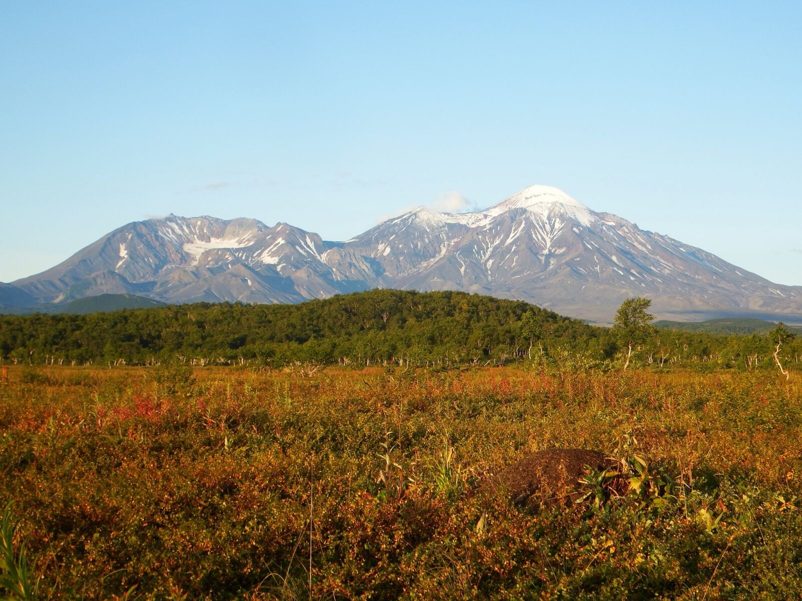Fujifilm FinePix S1 sample photo. Volcano, forest, autumn photography