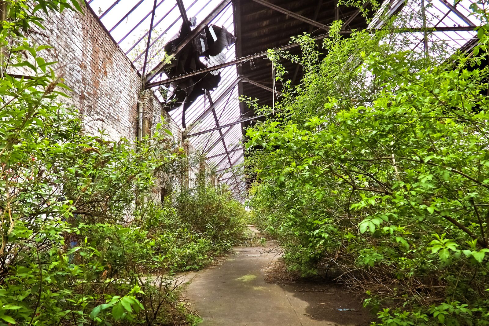 Olympus OM-D E-M10 sample photo. Lost places, old, decay photography