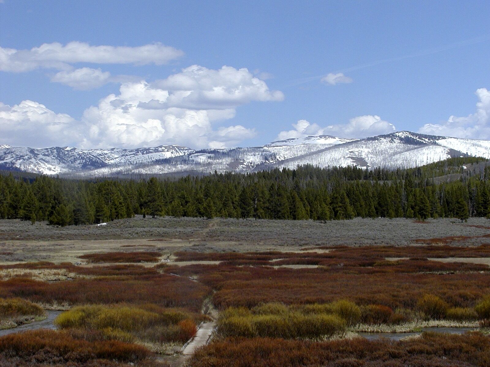 Olympus C2100UZ sample photo. Yellowstone national park, wyoming photography