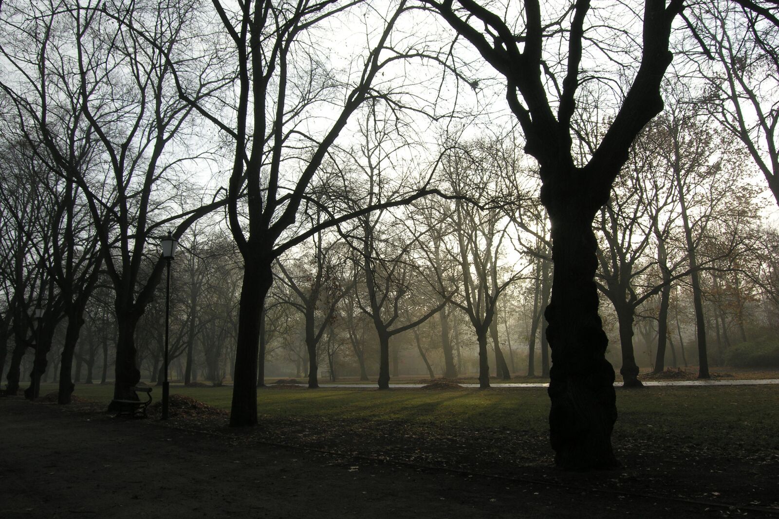 Nikon E8400 sample photo. Park, green, emptiness photography