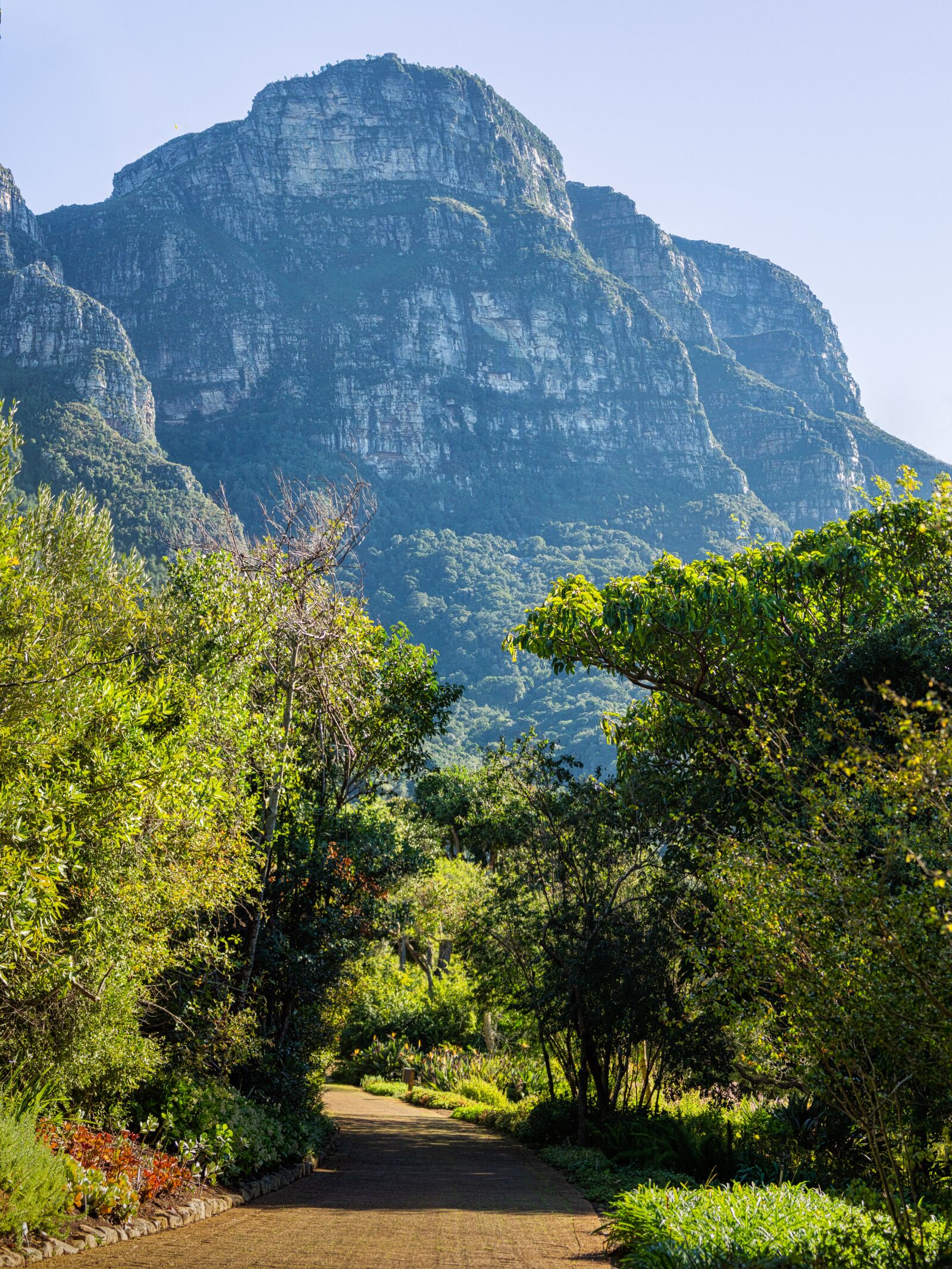 Olympus OM-D E-M1 Mark II sample photo. Cape town, eastern slopes photography