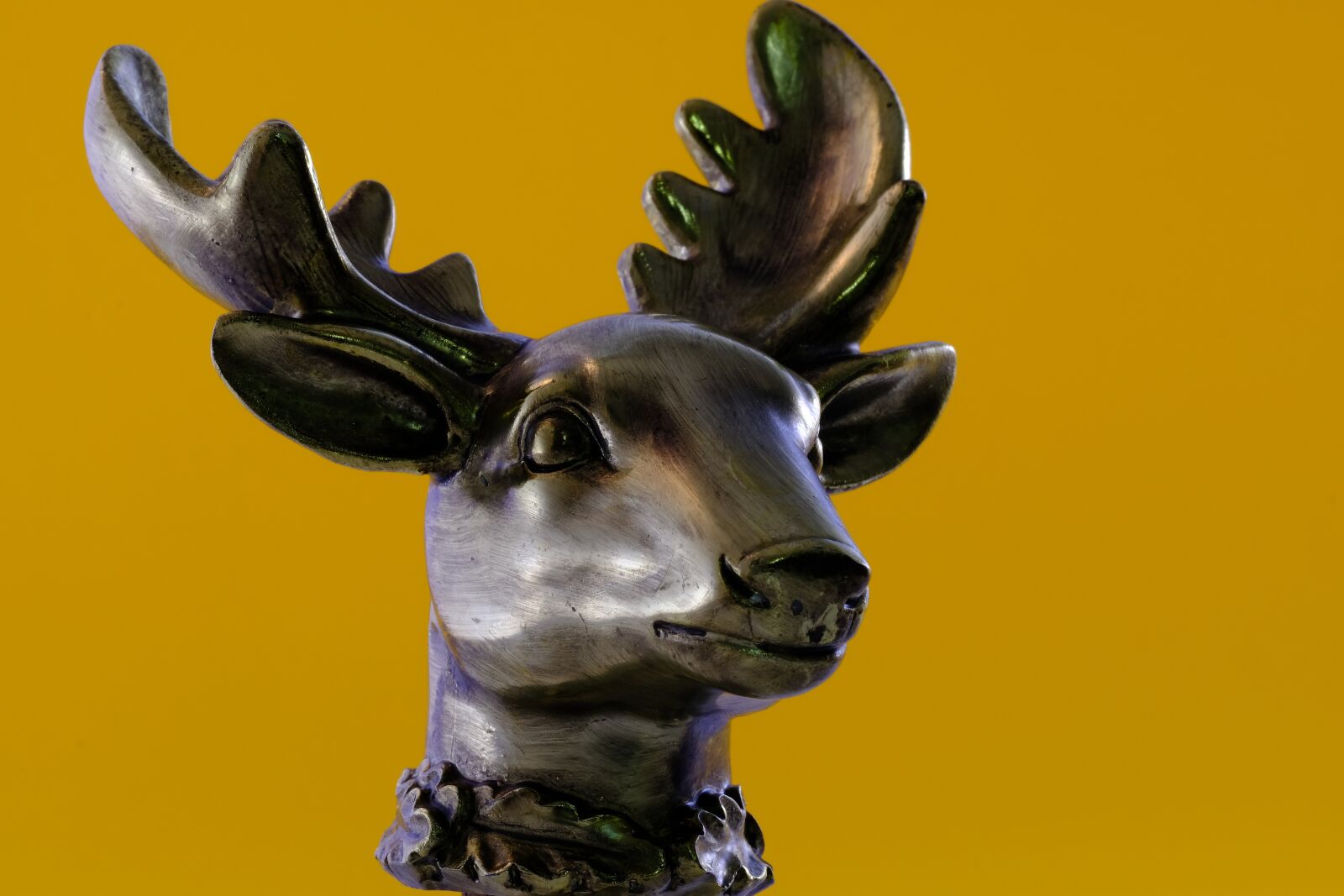 Fujifilm X-T2 + Fujifilm XF 80mm F2.8 R LM OIS WR Macro sample photo. Isolated, antler, hirsch photography