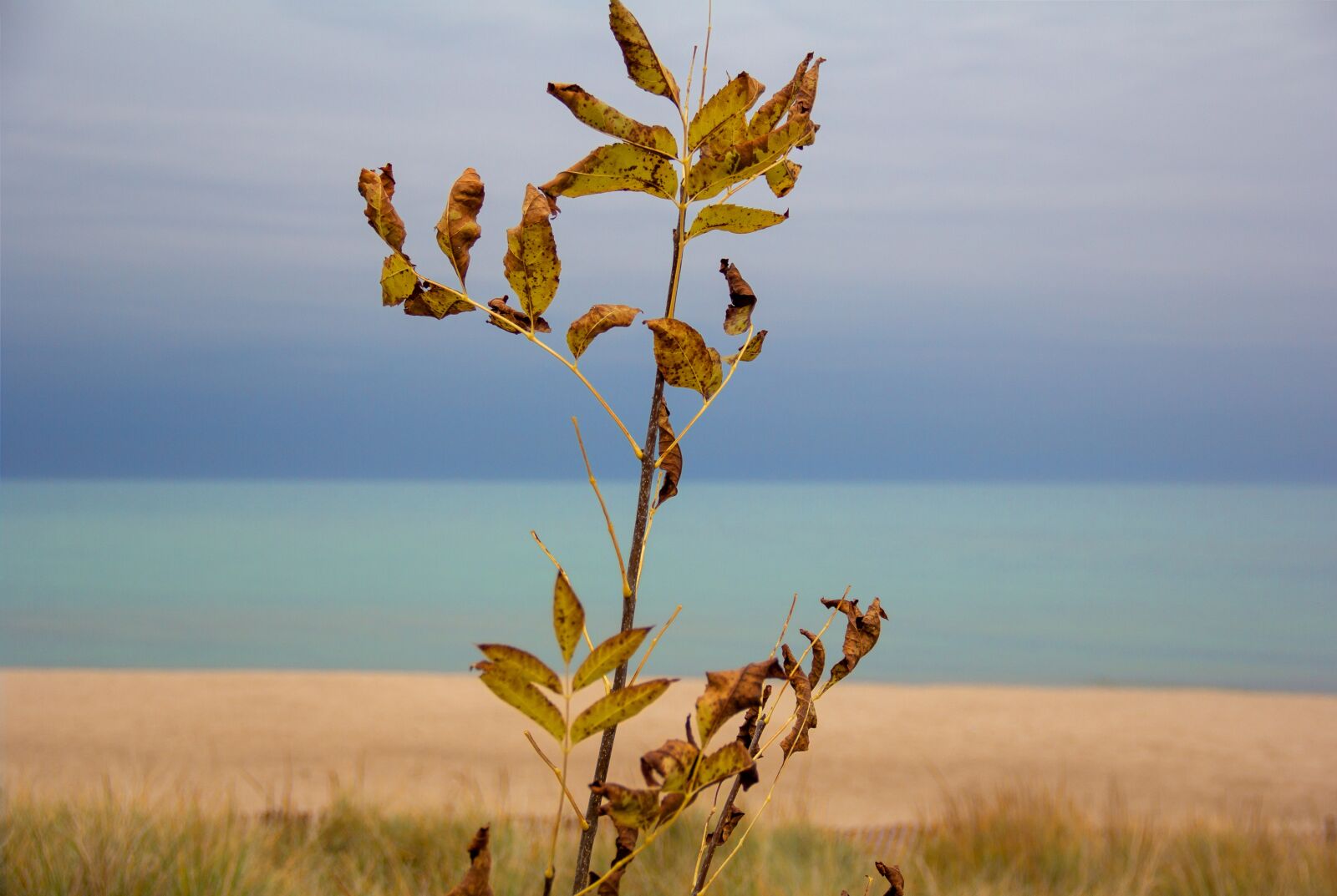 Canon EOS 60D sample photo. Beach, autumn, sky photography