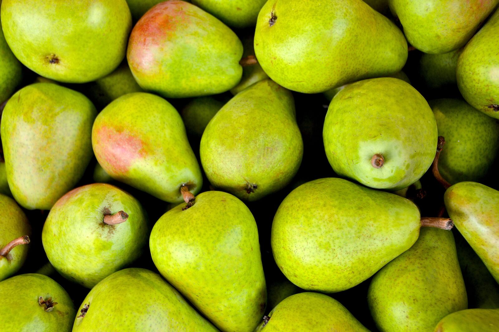 Nikon D3200 sample photo. Fruit, pear, pear basket photography