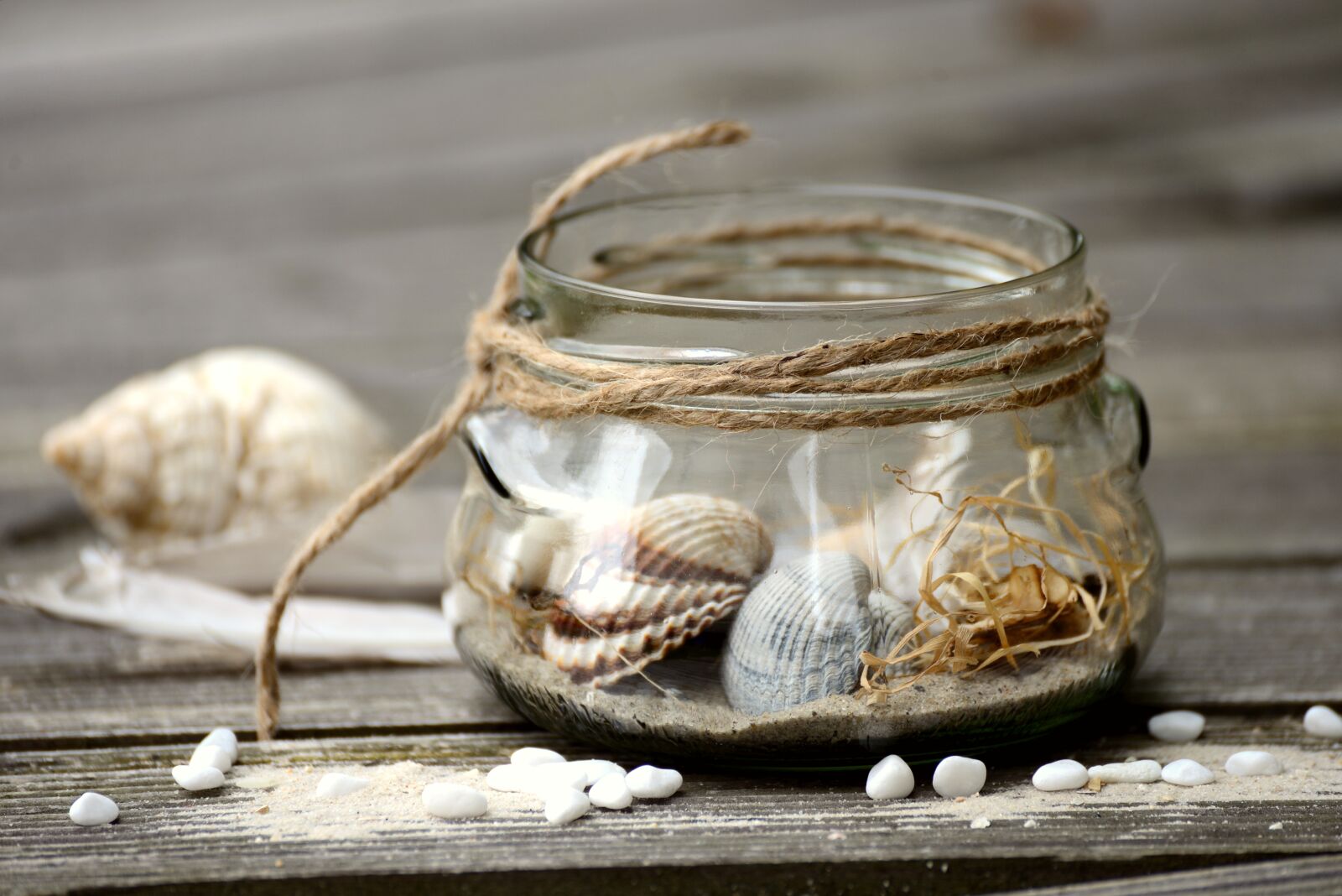 Nikon D610 sample photo. Mussels, flotsam, collect photography