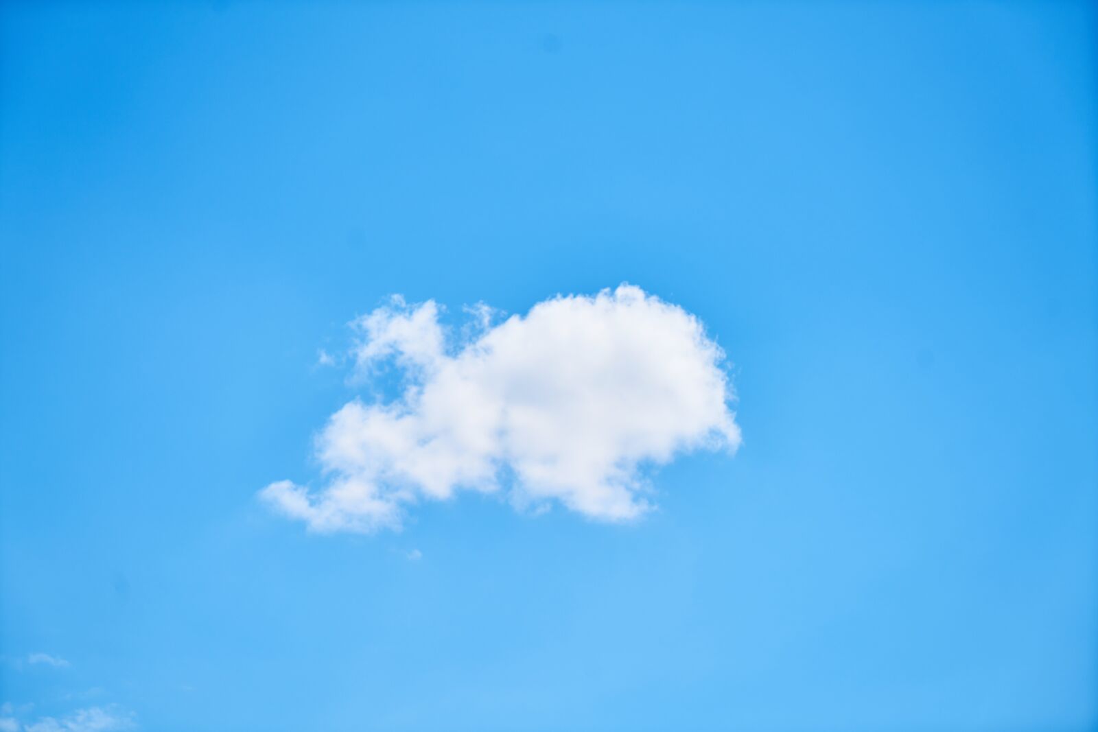 Sony a7R II sample photo. Nature, sky, summer photography