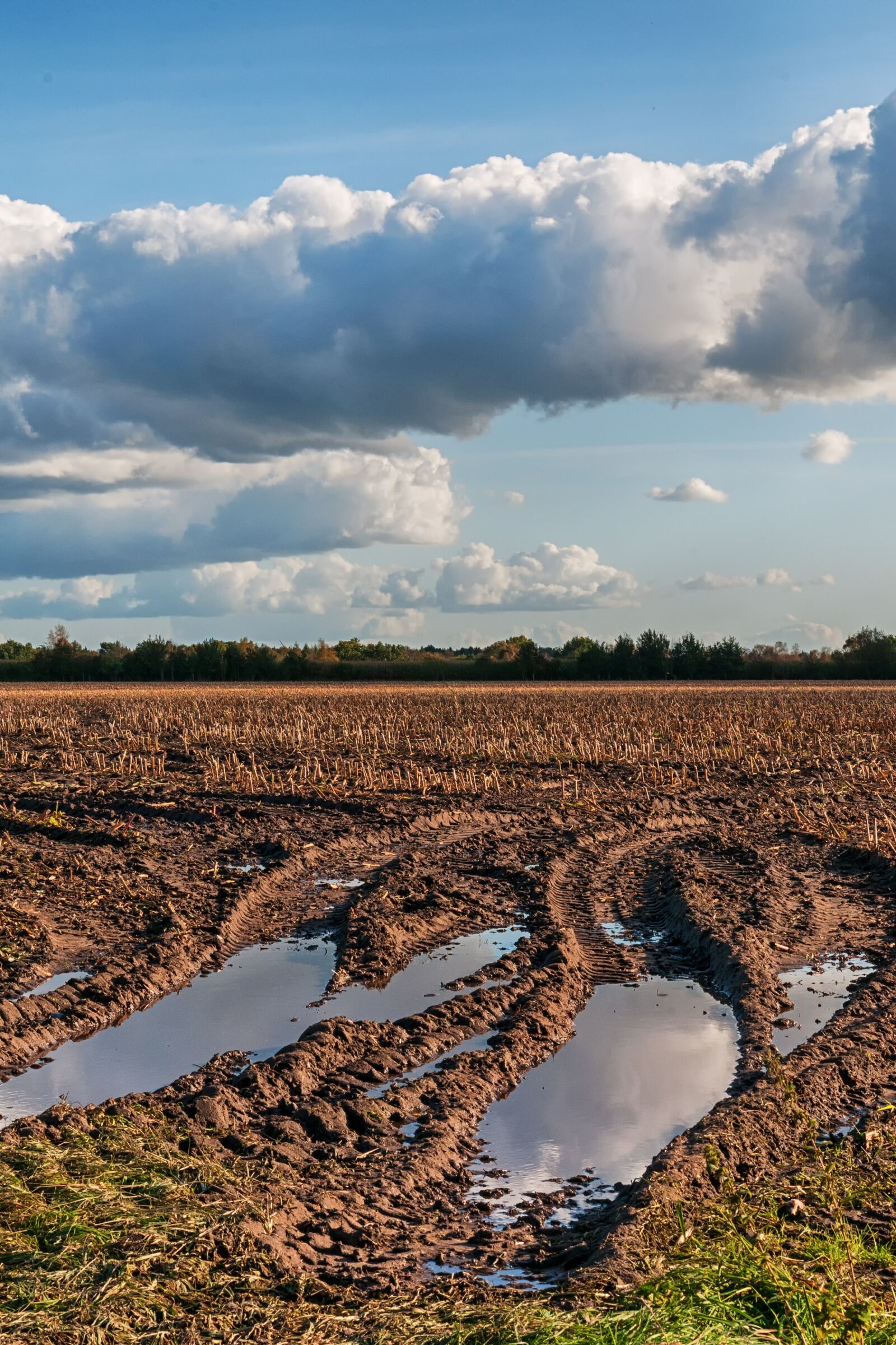 Nikon D300S sample photo. Field, autumn, arable photography