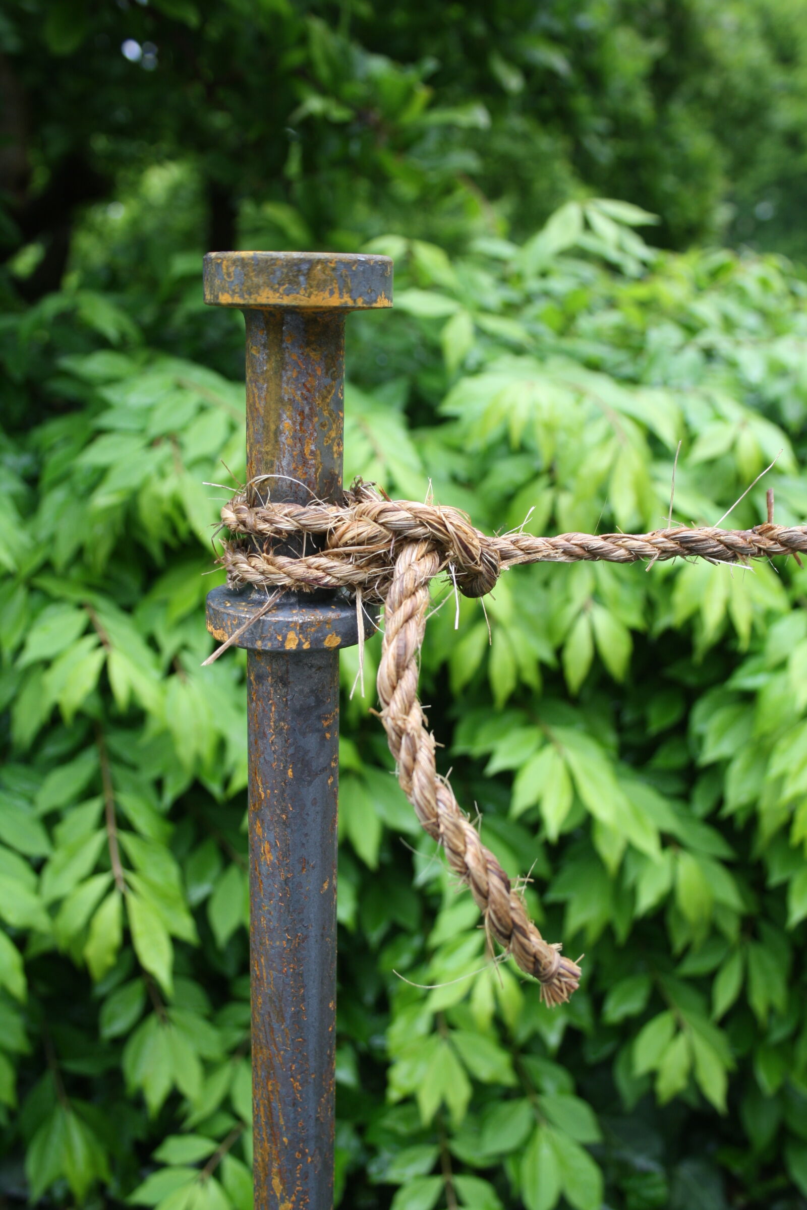 Canon EOS 1000D (EOS Digital Rebel XS / EOS Kiss F) sample photo. Fence, rope, rustic photography