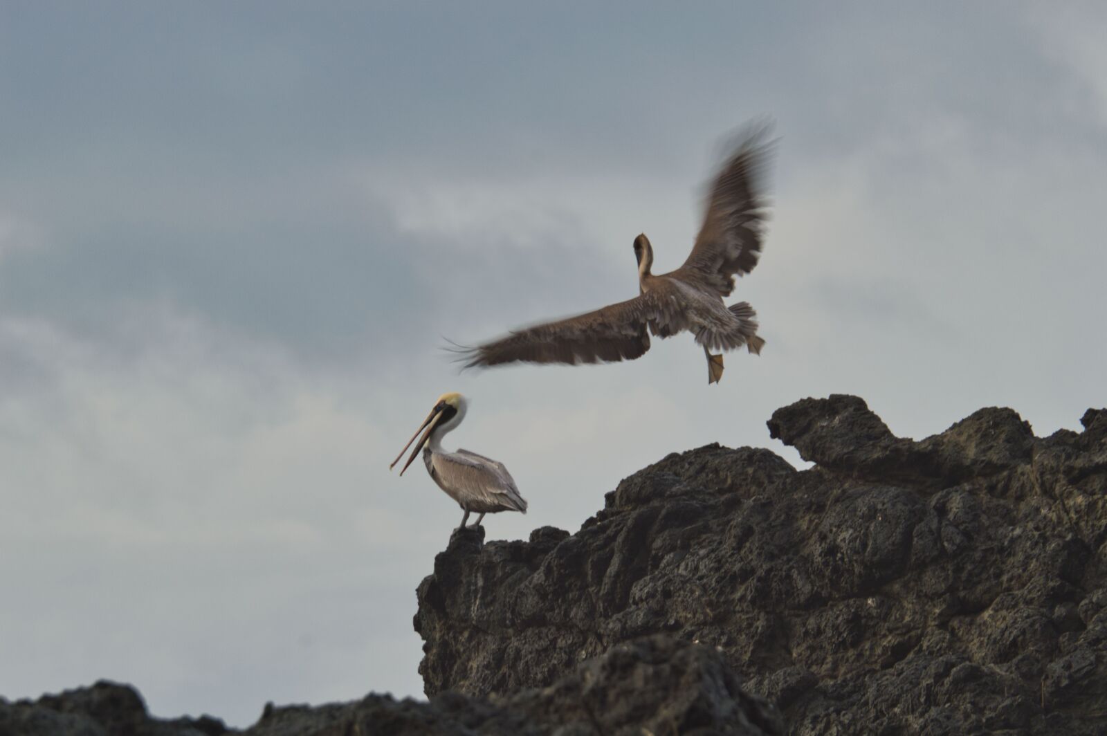 Nikon D3200 sample photo. Costa rica, ocean, costa photography