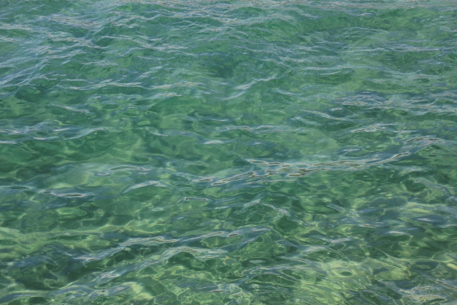 Canon EOS 60D sample photo. Sea, mediterranean, italy photography