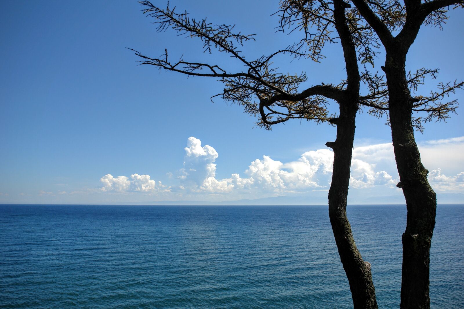Sony DSC-R1 sample photo. Baikalsee, russia, irkutsk photography