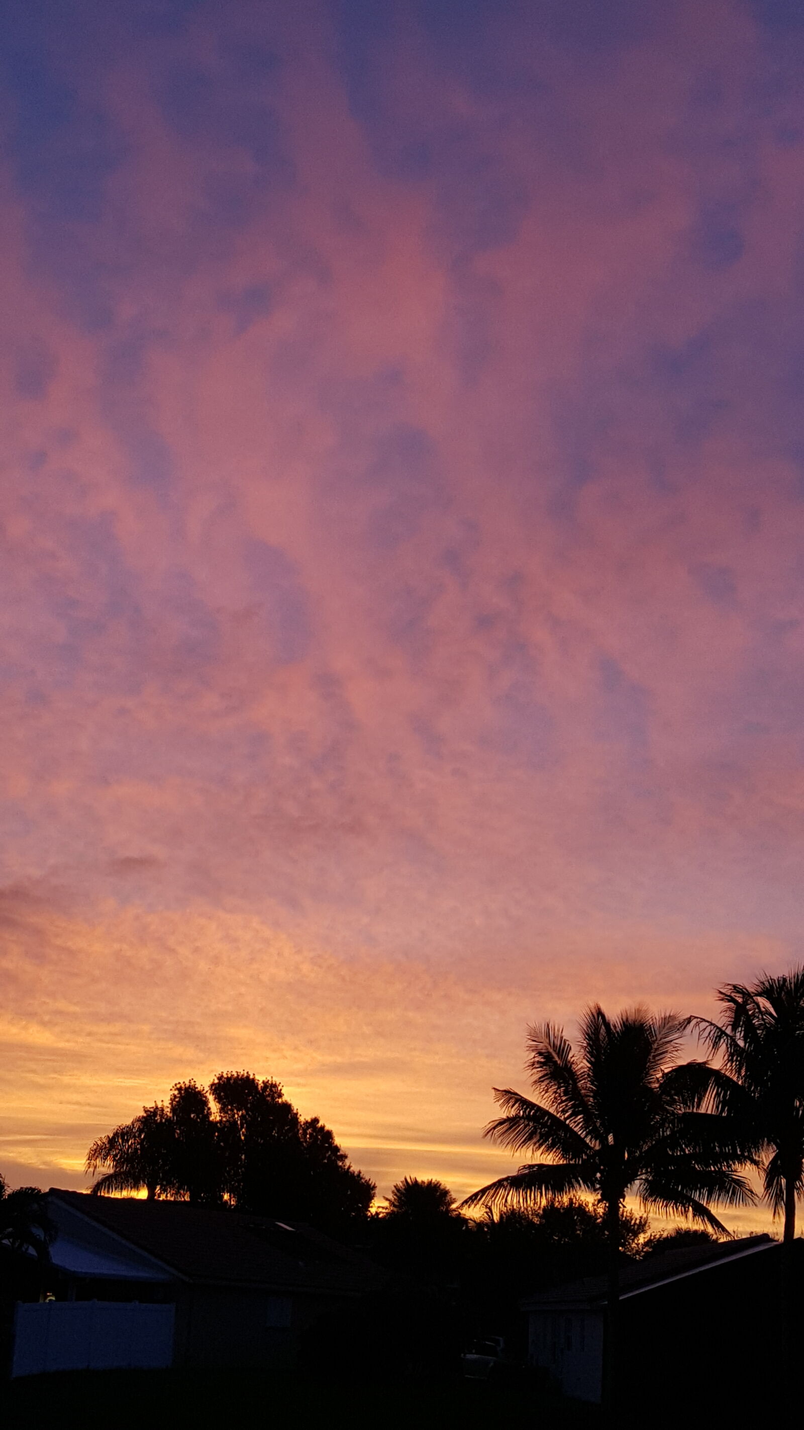 Samsung Galaxy S6 sample photo