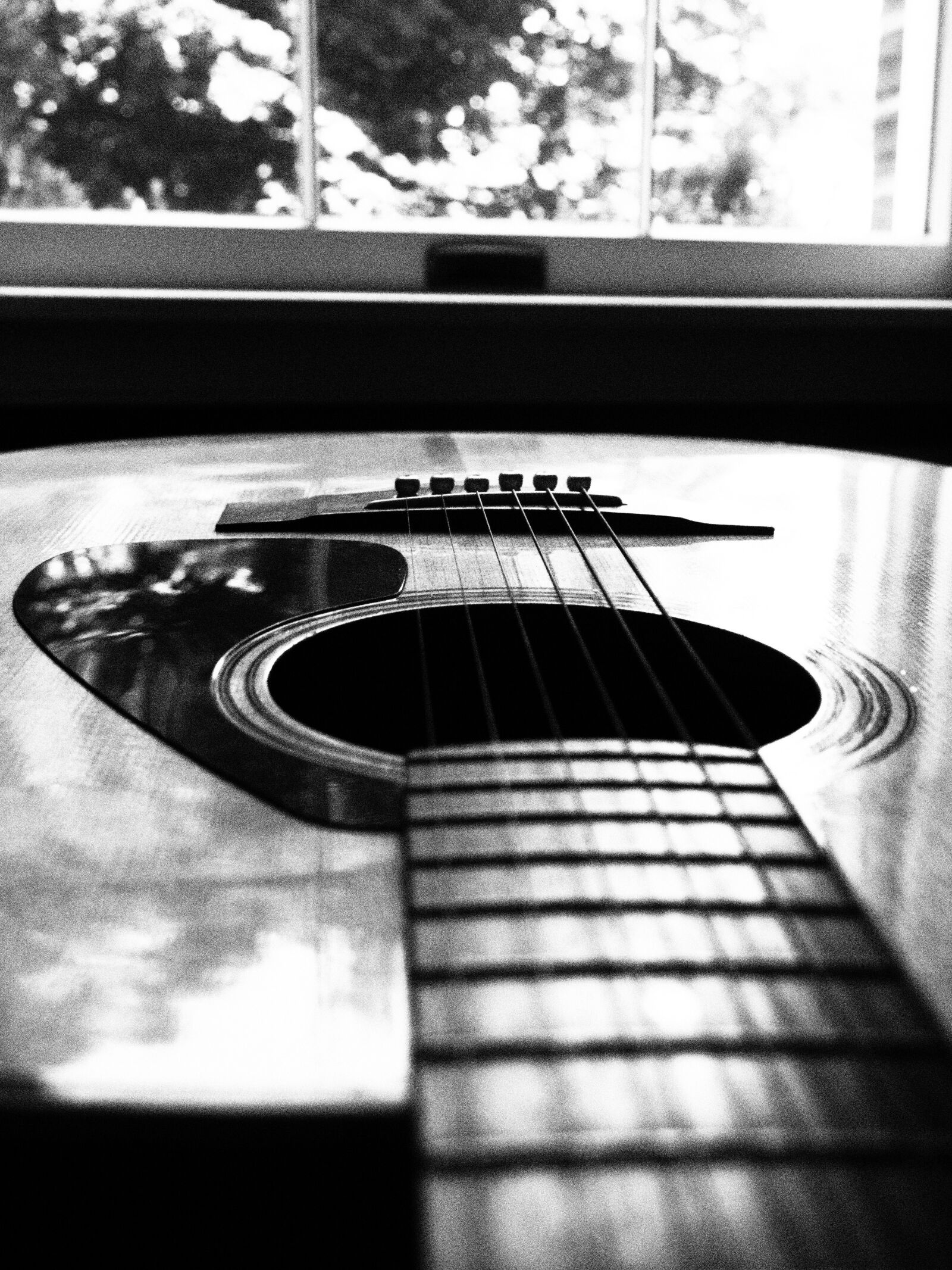 Olympus PEN E-PM2 + Olympus M.Zuiko Digital 14-42mm F3.5-5.6 II R sample photo. Guitar, acoustic, black white photography