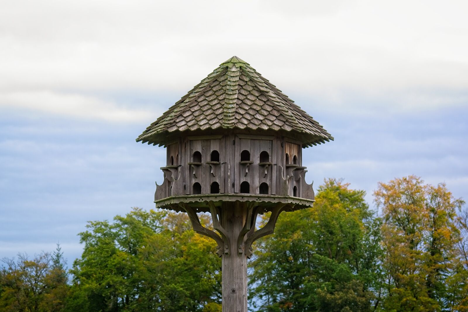 Nikon D7100 sample photo. Aviary, nature, bird photography