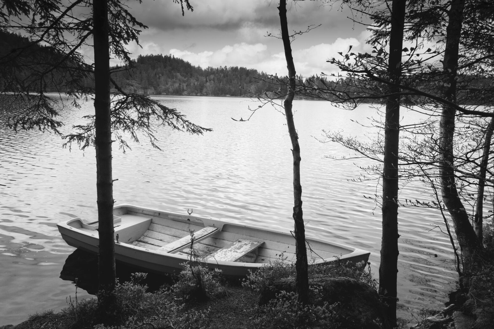 Nikon D3500 sample photo. Lake, nature, landscape photography