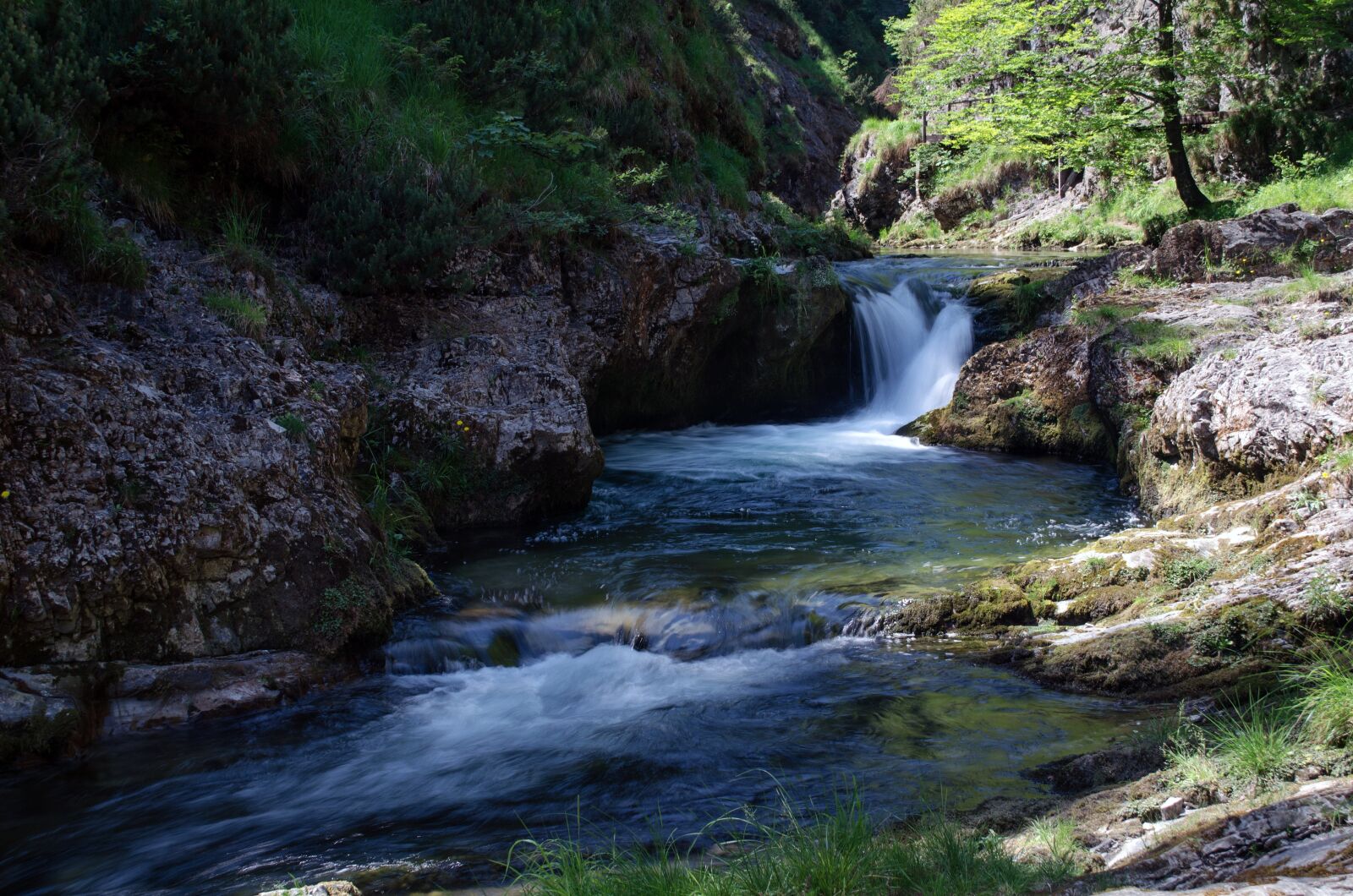 Nikon D5100 sample photo. White creek canyon, water photography