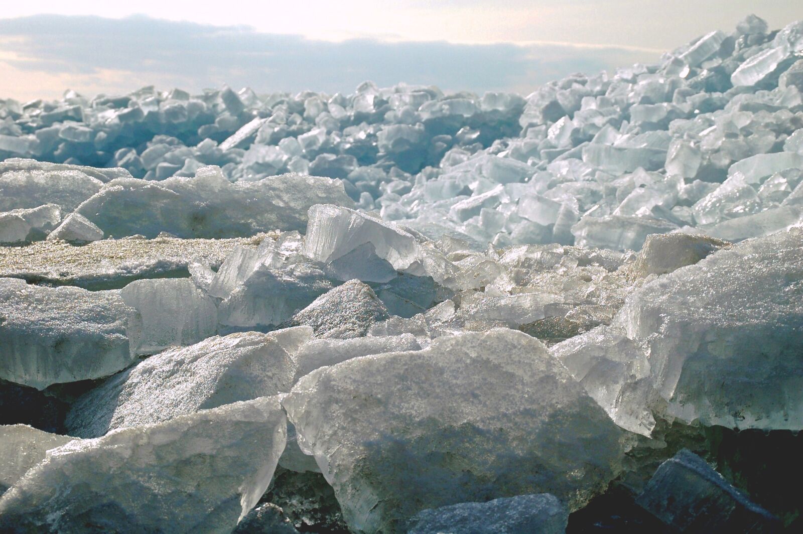 Nikon D50 sample photo. Ice, ice floes, shelf photography
