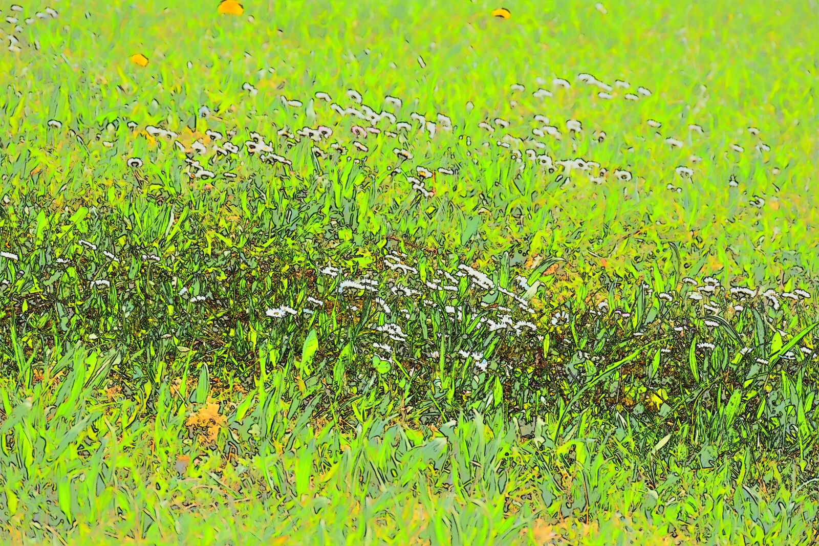 Nikon D7200 sample photo. Meadow, grass, nature photography