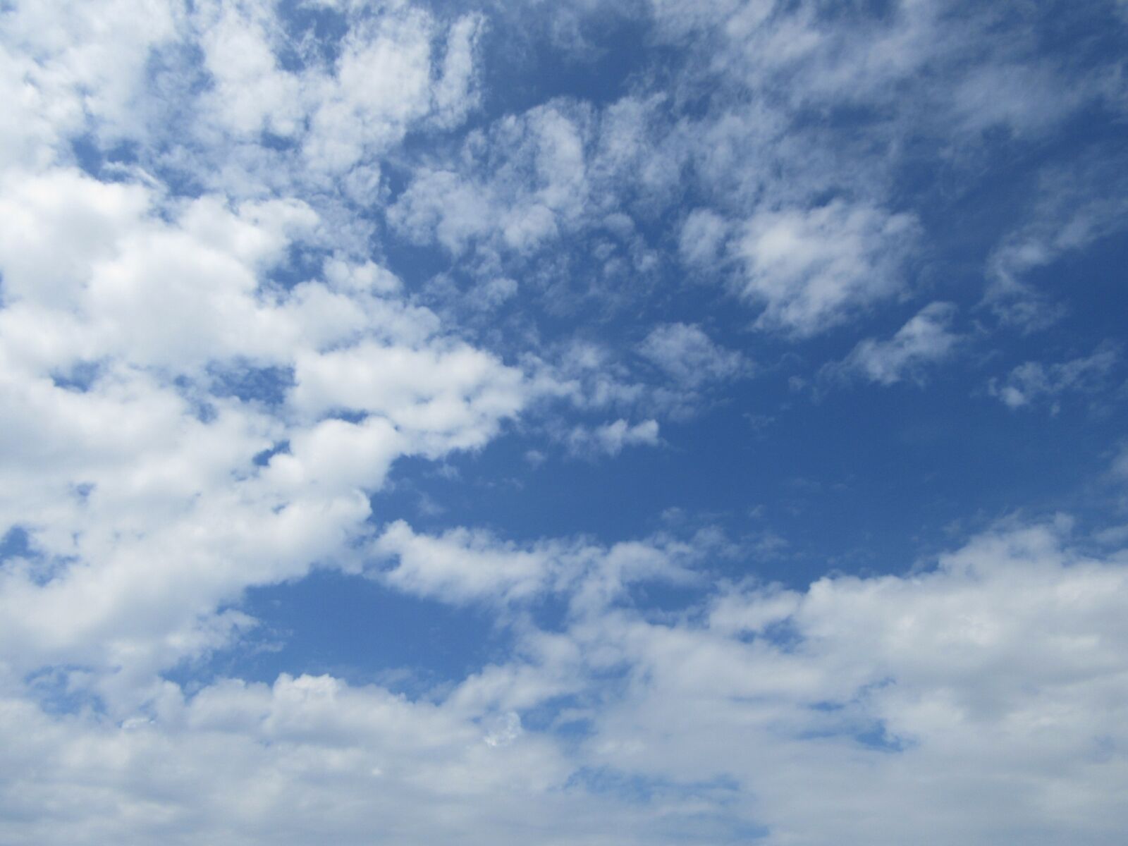 Canon PowerShot SX610 HS sample photo. Blue sky, clear skies photography
