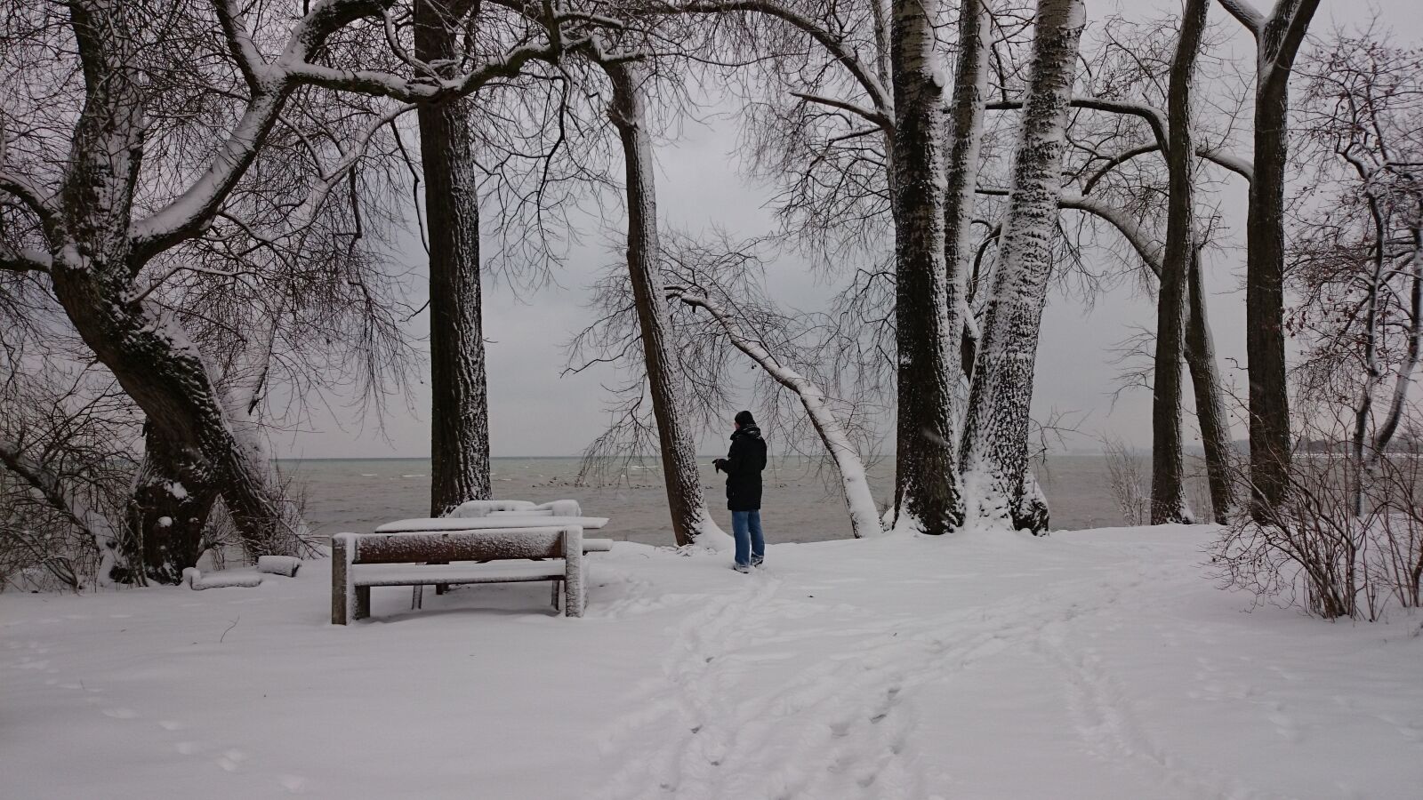 Sony Xperia Z1 Compact sample photo. Bench, winter, snow photography