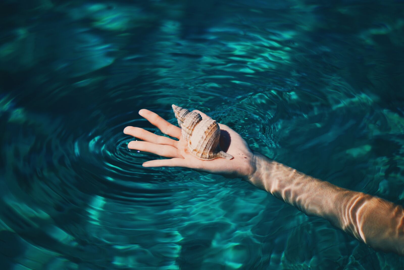 Nikon D3200 sample photo. Hand, seashell, water photography