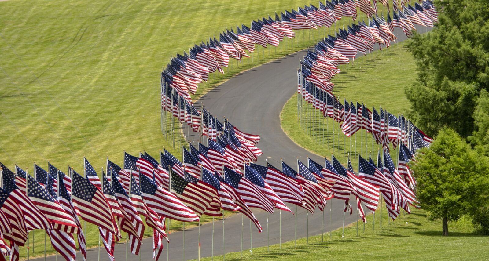 Nikon D850 sample photo. Flags, america, american photography