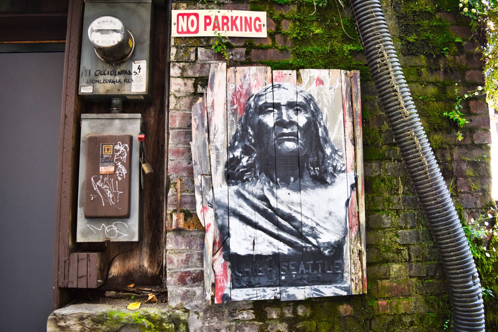 Nikon D3300 sample photo. Seattle, street, native photography