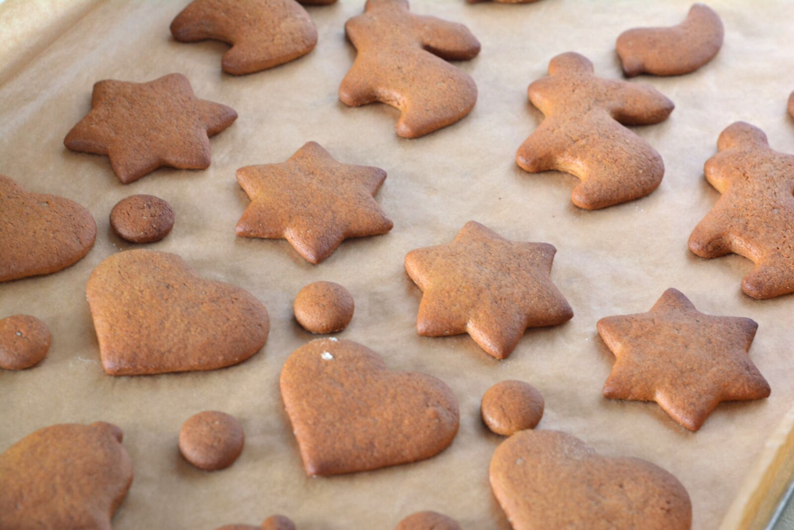 Nikon D5200 sample photo. Gingerbread, christmas, eating photography