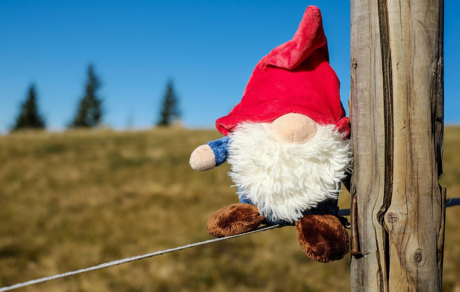 Fujifilm X-T10 + Fujifilm XF 35mm F1.4 R sample photo. Imp, kobold, figure photography