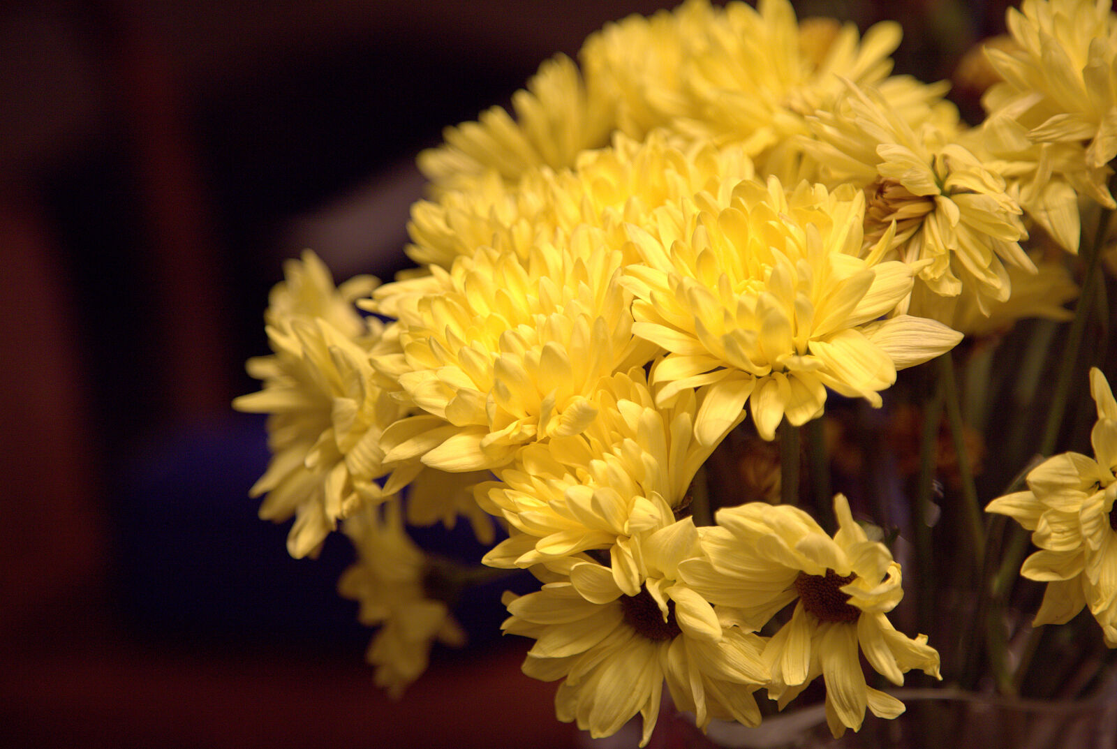 Canon EOS 5DS R sample photo