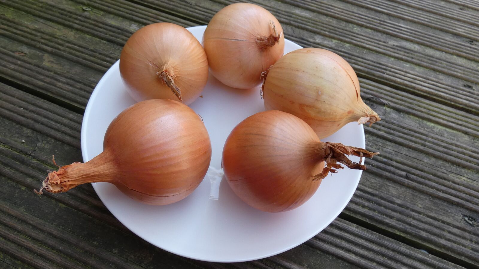 Panasonic Lumix DC-FZ80 (Lumix DC-FZ82) sample photo. Onion, fresh, kitchen photography