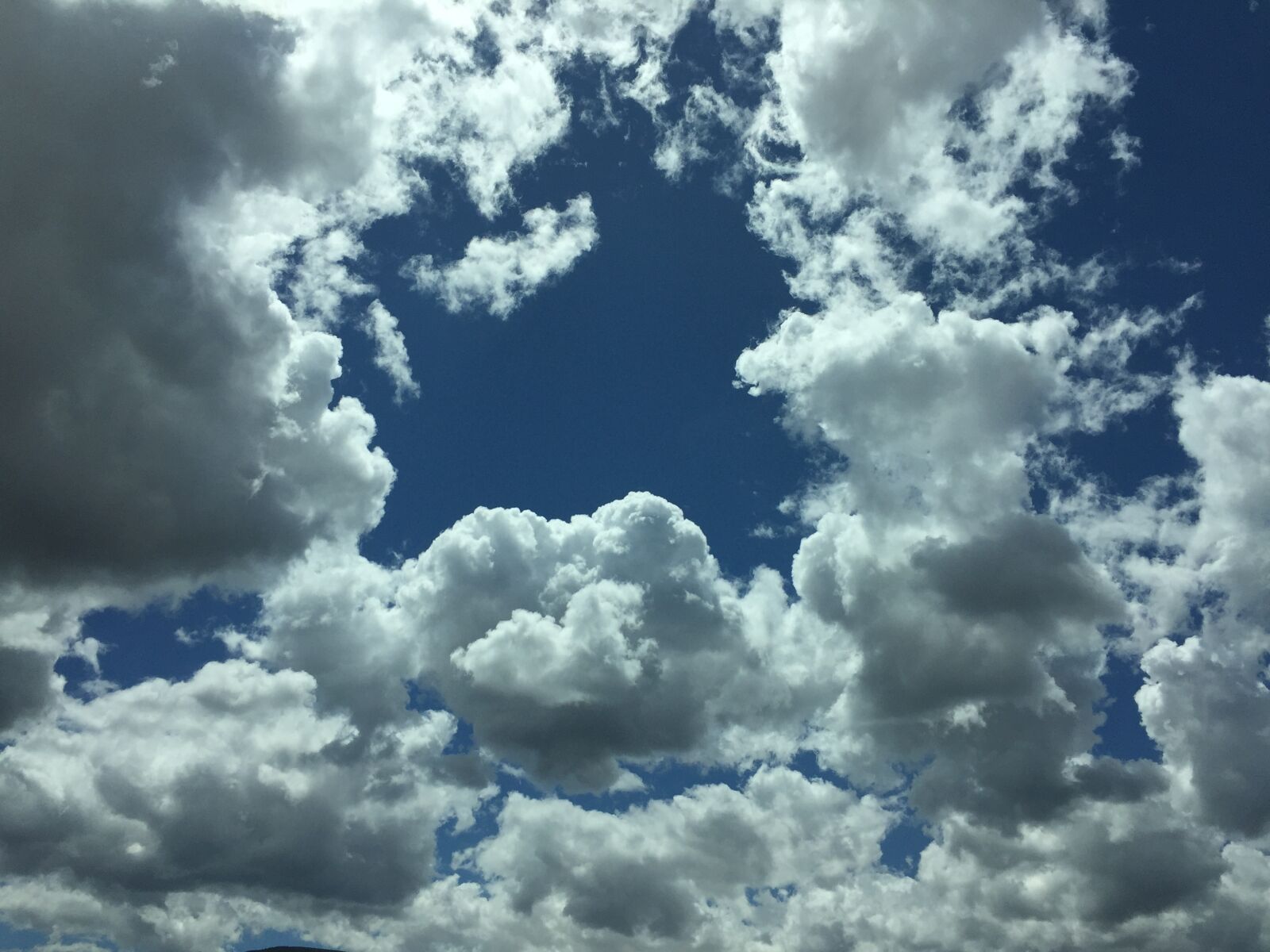 iPhone 6 Plus back camera 4.15mm f/2.2 sample photo. Blue sky, california sky photography