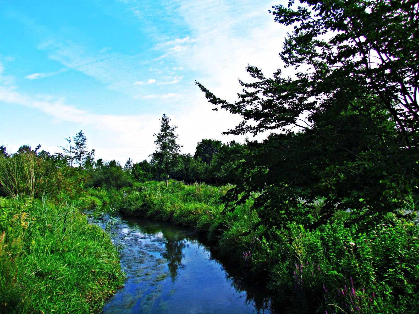 Canon PowerShot SX30 IS sample photo. Brook, water, landscape photography