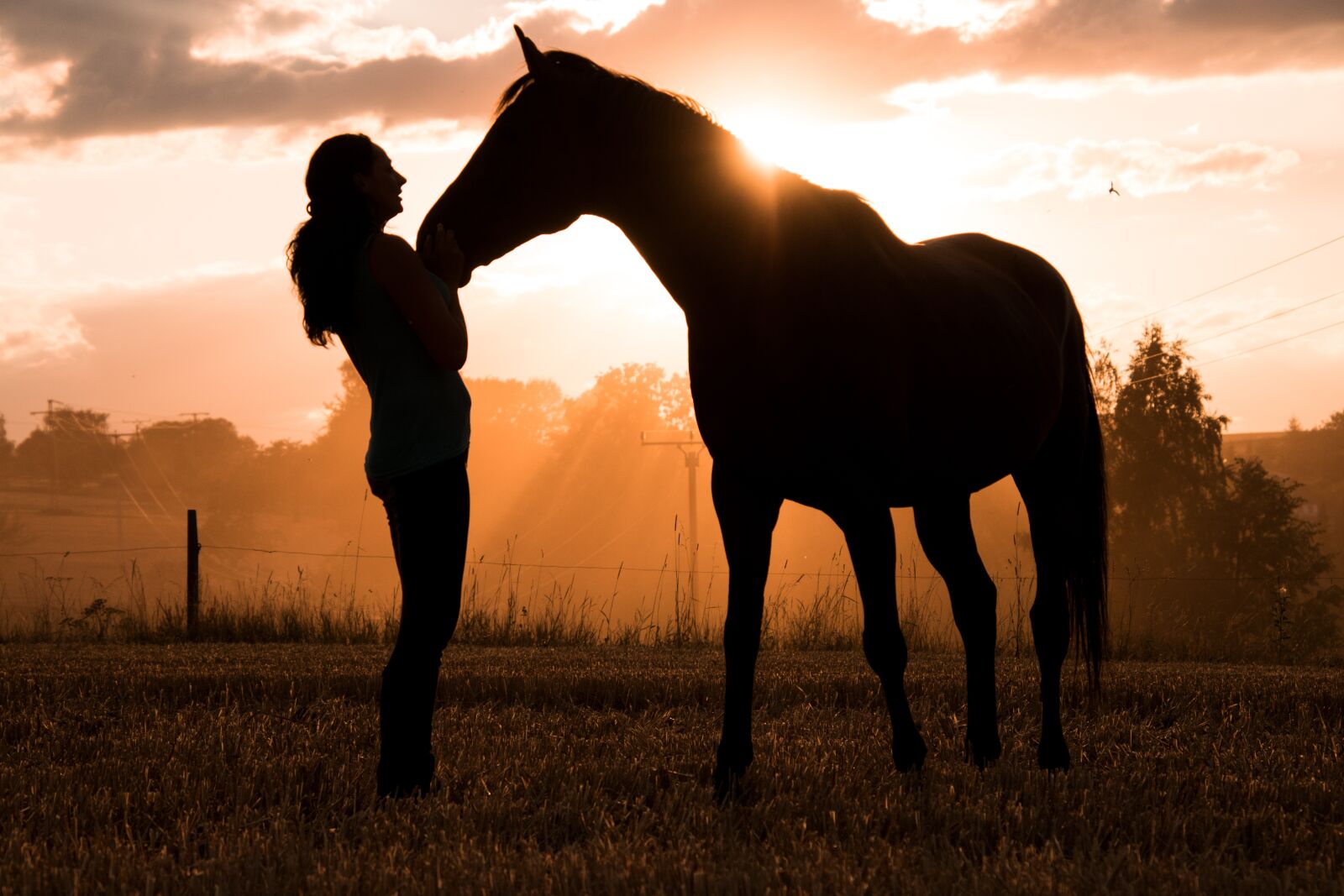 Nikon D3300 sample photo. Horse, human, animal photography
