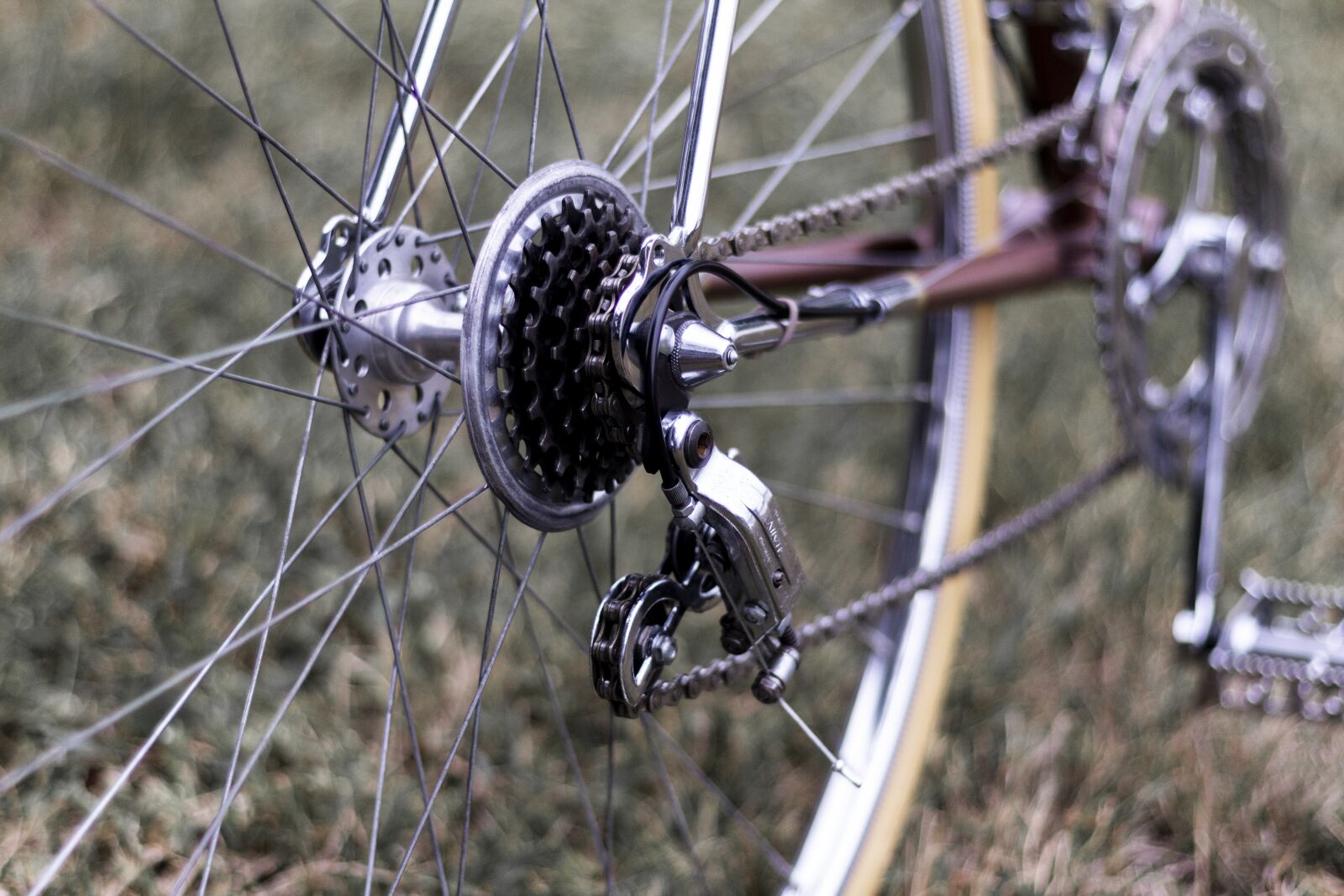 Canon EOS 60D + Canon EF 50mm F1.8 STM sample photo. Derailleur, gears, chain photography
