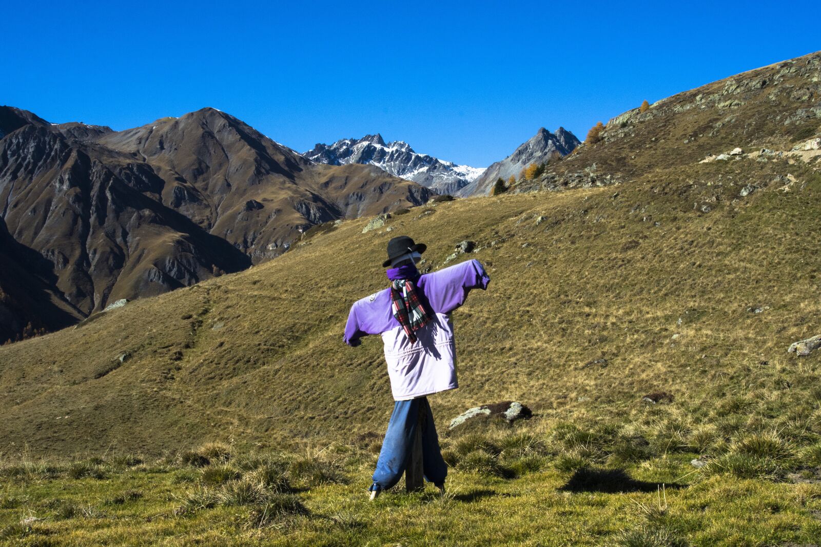 Nikon D7200 sample photo. Autumn, mountains, alpine photography