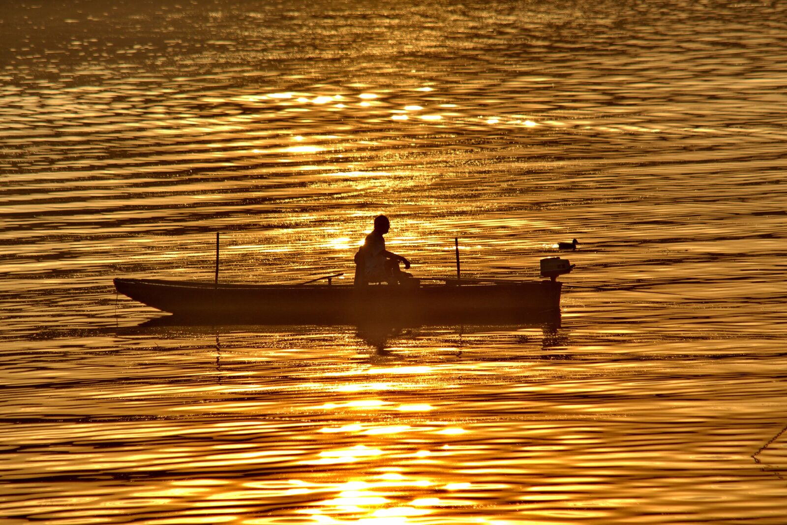 Nikon D5500 sample photo. Fisherman, golden glow, sunset photography